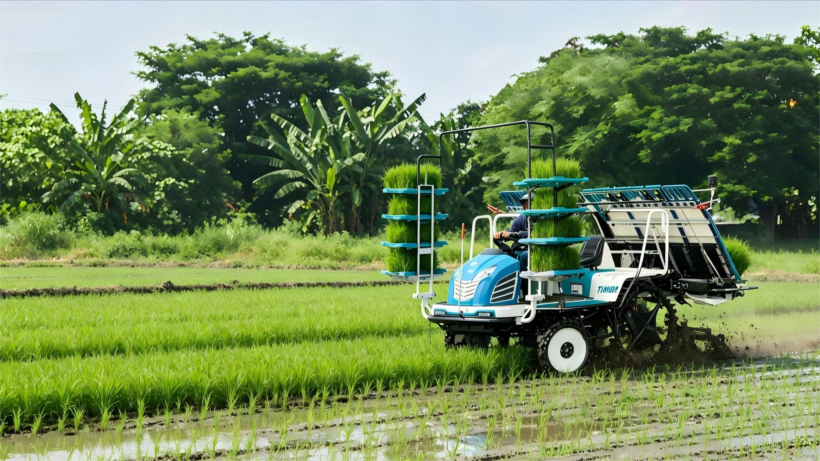 India - Large Scale Farm Owner 