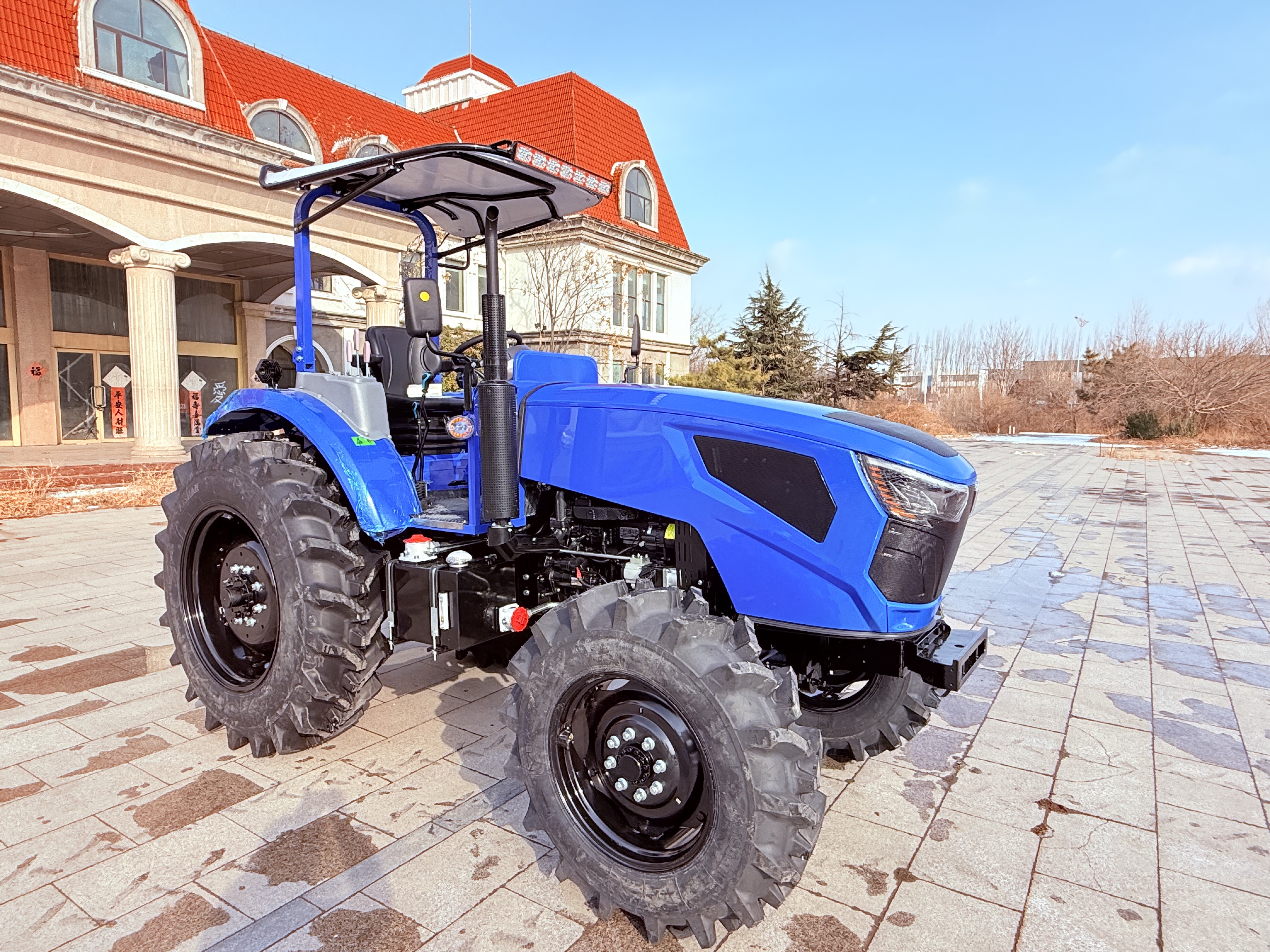 100hp blue (7)